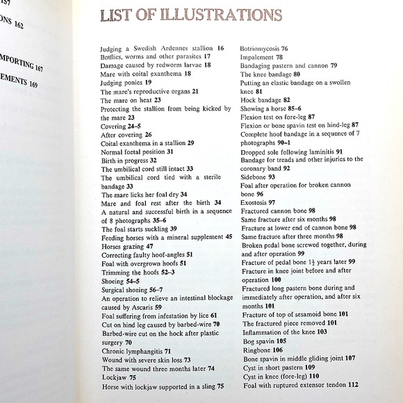 Healthy Horse Handbook Illustrated Hardcover Educational Academia - Picture 5 of 16